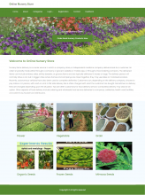 NodeJS, AngularJS and MySQL Project on Online Nursery Store