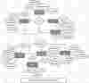 Patient Management System  ER Diagram