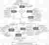 Result Management System ER Diagram