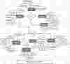 Resume Builder ER Diagram Resume Builder ER Diagram