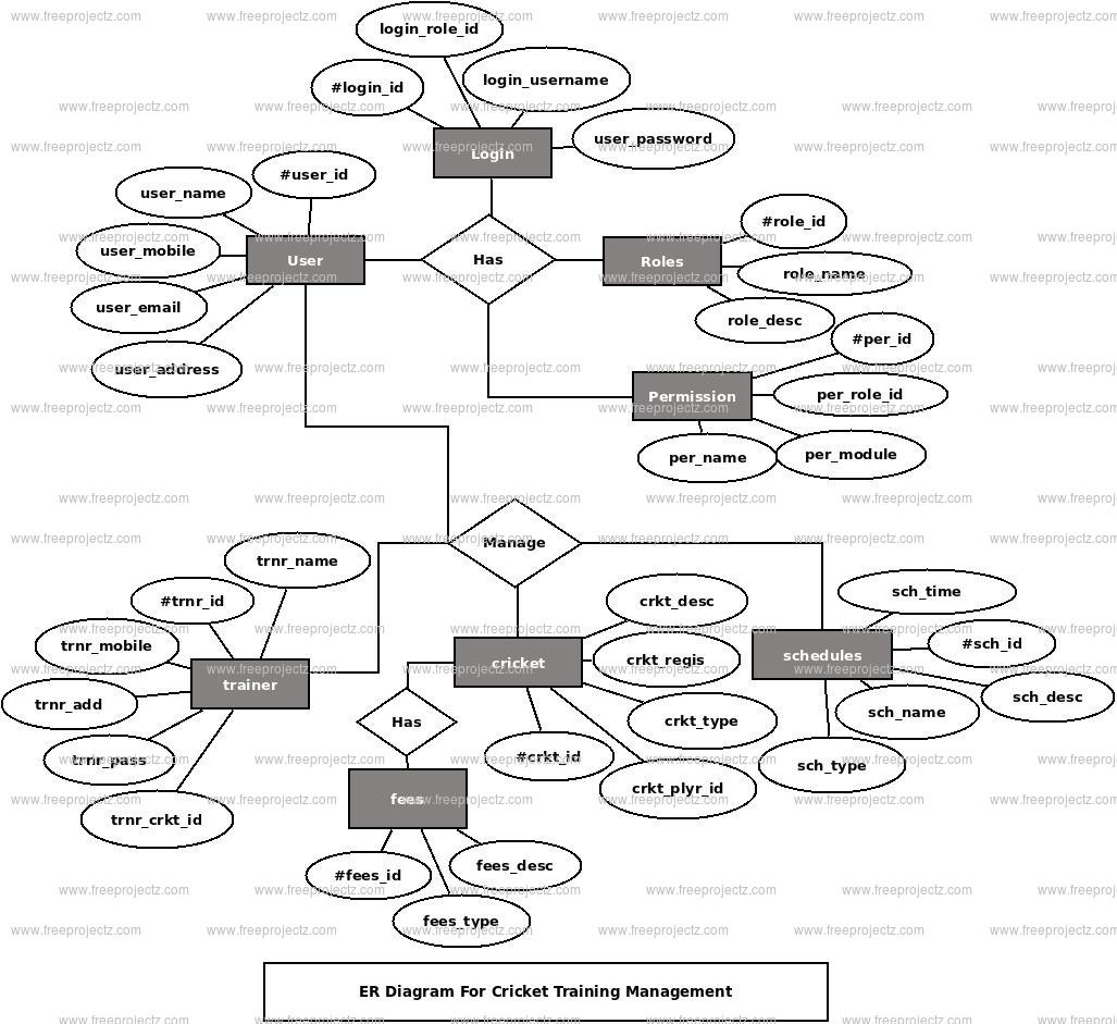 Cricket Training Management ER Diagram | FreeProjectz